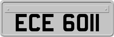 ECE6011
