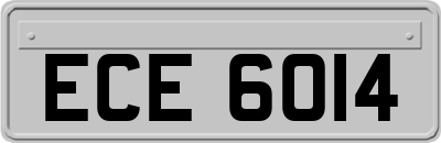 ECE6014