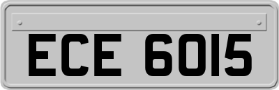 ECE6015