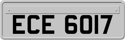 ECE6017