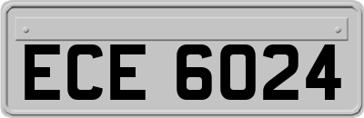 ECE6024