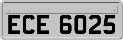 ECE6025
