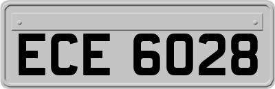 ECE6028
