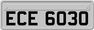 ECE6030