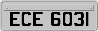 ECE6031