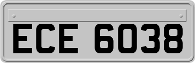 ECE6038