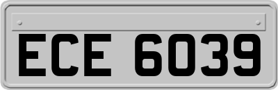 ECE6039