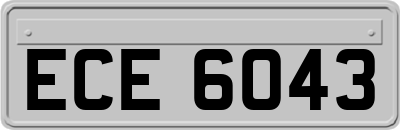 ECE6043