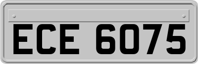 ECE6075