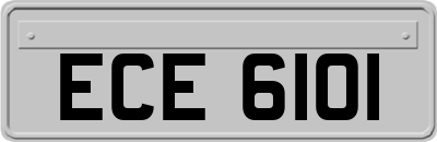 ECE6101