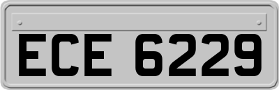 ECE6229