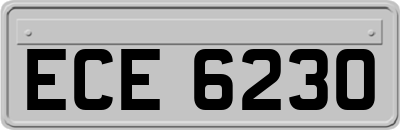 ECE6230