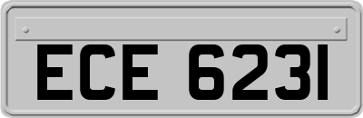 ECE6231