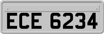 ECE6234