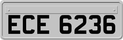 ECE6236
