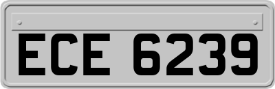 ECE6239