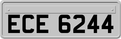 ECE6244