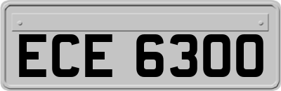 ECE6300