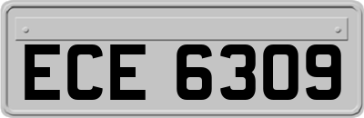 ECE6309