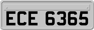 ECE6365