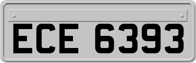 ECE6393