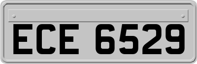 ECE6529