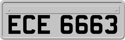 ECE6663