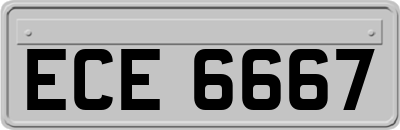 ECE6667