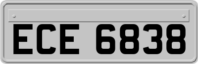ECE6838