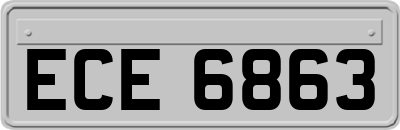 ECE6863