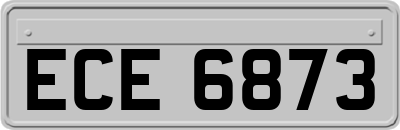 ECE6873