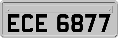 ECE6877
