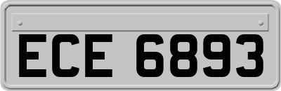 ECE6893