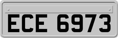 ECE6973
