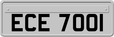 ECE7001