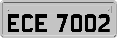 ECE7002
