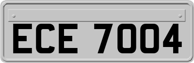 ECE7004