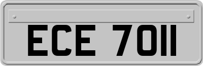 ECE7011