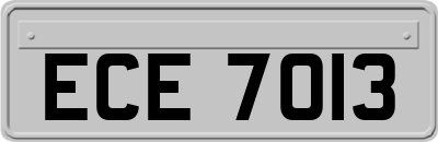 ECE7013