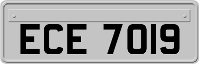 ECE7019