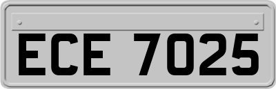 ECE7025