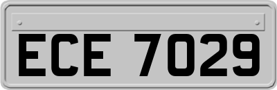ECE7029