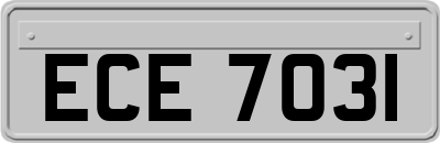 ECE7031