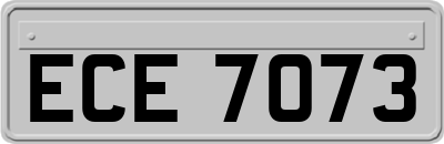 ECE7073