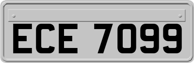 ECE7099