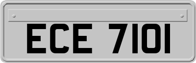 ECE7101