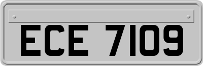ECE7109