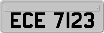 ECE7123