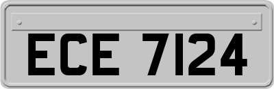 ECE7124