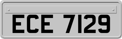 ECE7129
